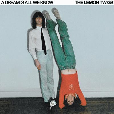 How Can I Love Her More? By The Lemon Twigs's cover