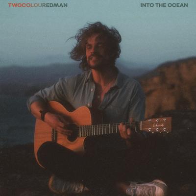 Into The Ocean (Acoustic Version) By twocolouredman's cover
