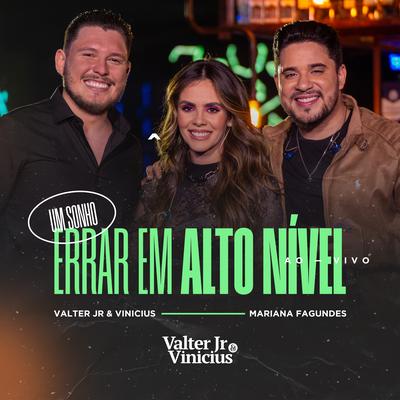Errar em Alto Nível (Ao Vivo)'s cover