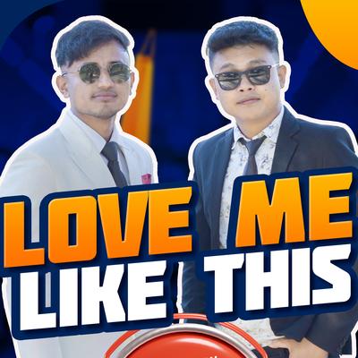 Love Me Like This's cover