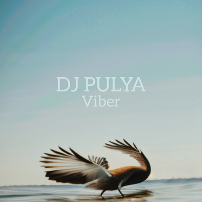 Dj Pulya's cover