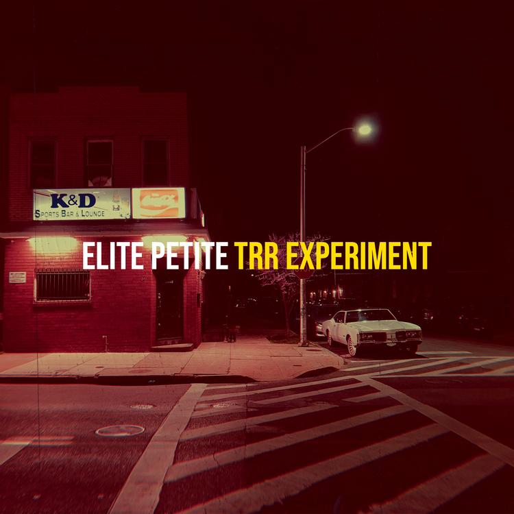 TRR experiment's avatar image