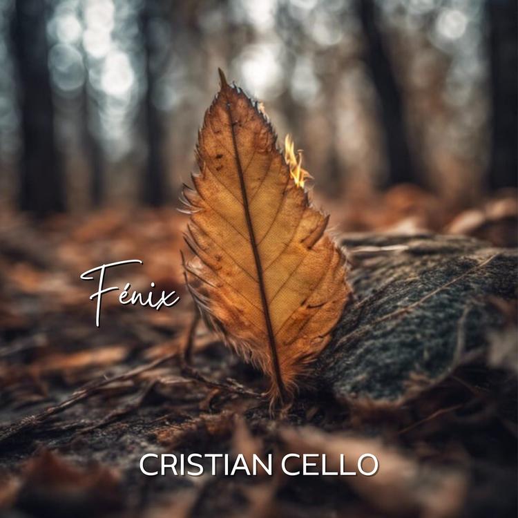 Cristian Cello's avatar image