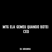 Dj Aranha's avatar cover