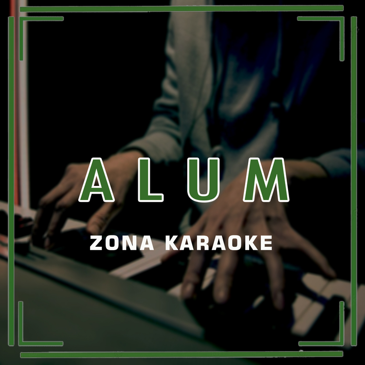 Zona Karaoke's avatar image