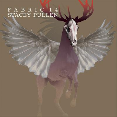 fabric 14: Stacey Pullen's cover