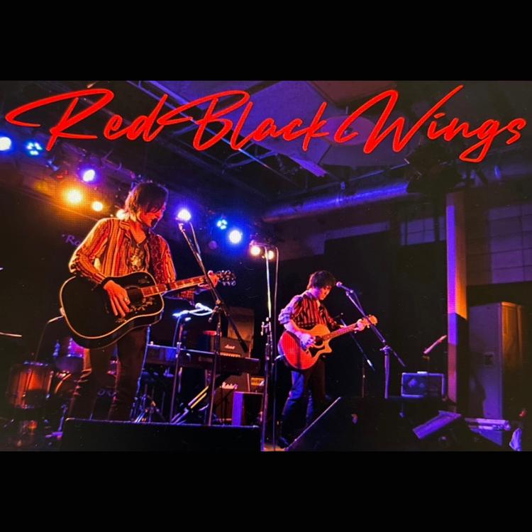 RED BLACK WINGS's avatar image