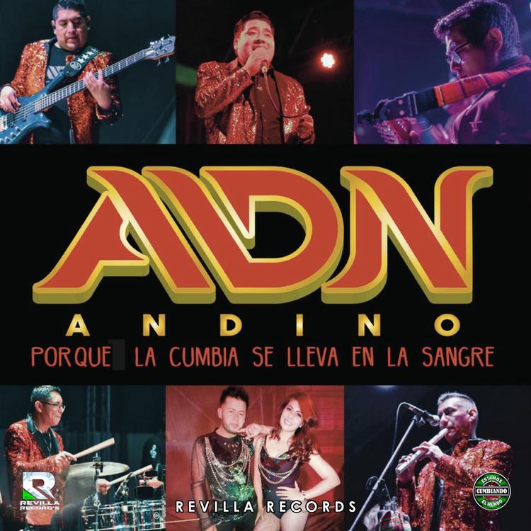 ADN Andino's avatar image