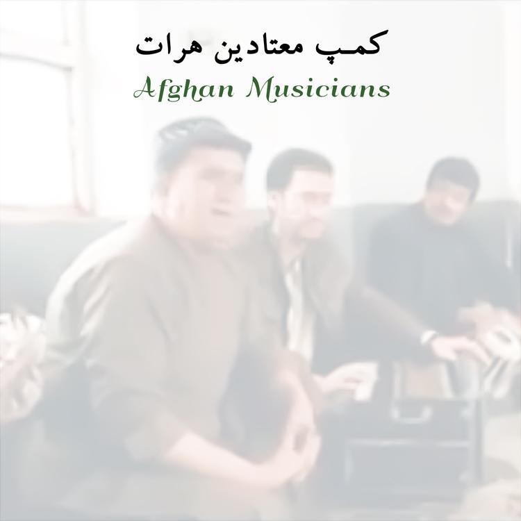 Afghan Musicians's avatar image