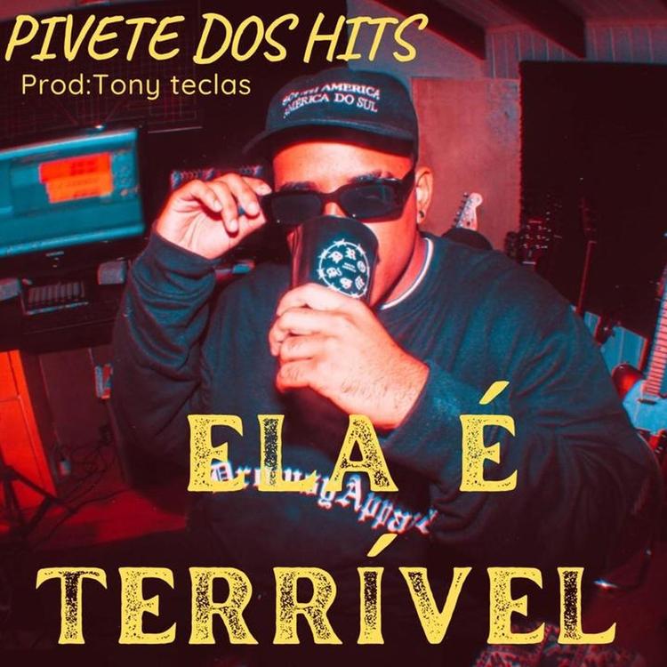 Pivete Dos Hits's avatar image