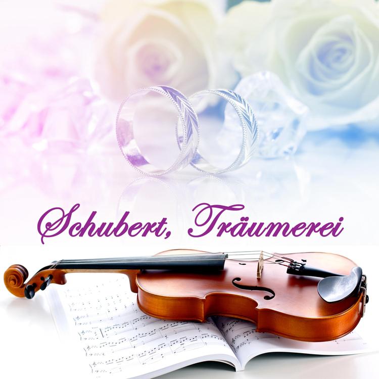 Schubert Träumerei Guitars's avatar image