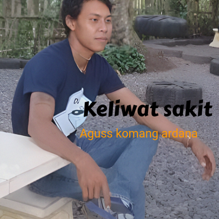 Aguss Komang Ardana's avatar image