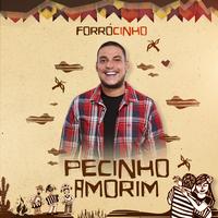 Pecinho Amorim's avatar cover