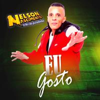 Nelson Nascimento O Rei Da Pizadinha's avatar cover