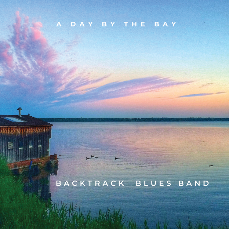 Backtrack Blues Band's avatar image