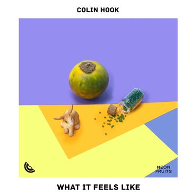 What It Feels Like By Colin Hook's cover