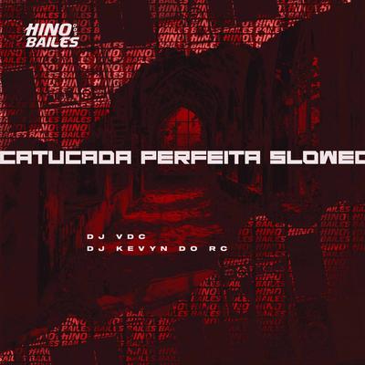 Catucada Perfeita Slowed By DJ VDC, DJ Kevyn Do RC's cover