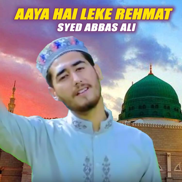 Syed Abbas Ali's avatar image
