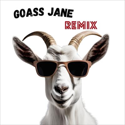 Goass Jane (Remix) By Die Echt Urigen's cover