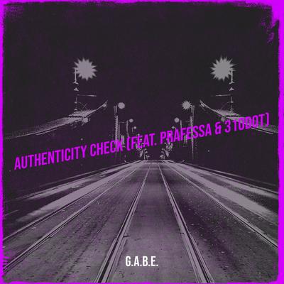 Authenticity Check's cover