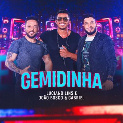 Gemidinha (Ao Vivo)'s cover