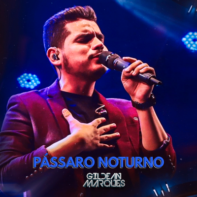 Pássaro Noturno By Gildean Marques's cover