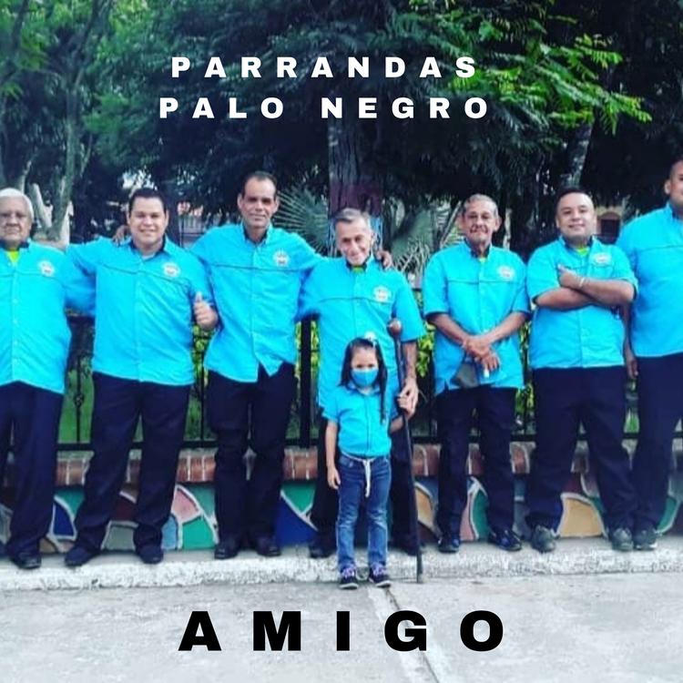 Parrandas Palo Negro's avatar image