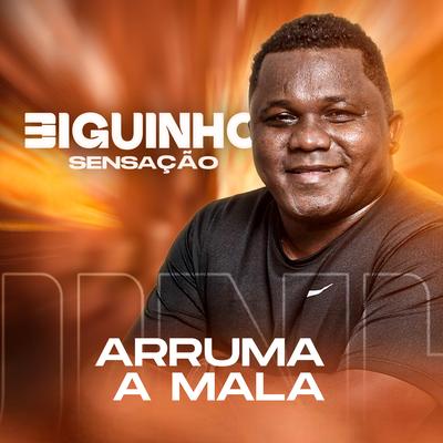 Arruma a Mala By BIGUINHO SENSAÇÃO's cover