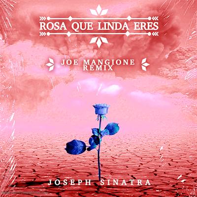 Rosa Que Linda Eres (Joe Mangione Edit Remix)'s cover