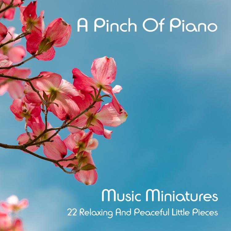 A Pinch Of Piano's avatar image