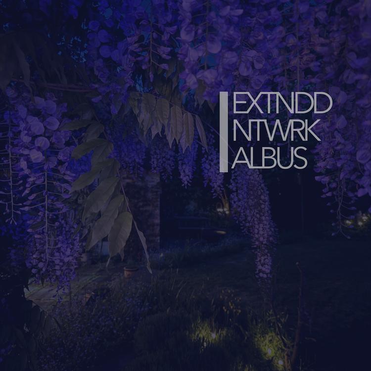 Extnddntwrk's avatar image