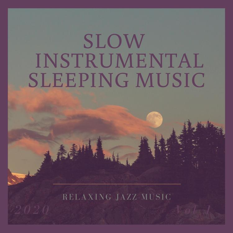 Slow Instrumental Sleeping Music's avatar image