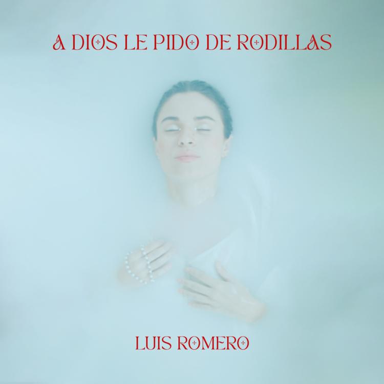 Luis Romero's avatar image