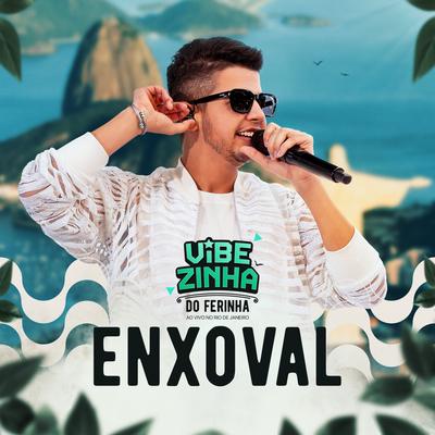Enxoval (Vibezinha do Ferinha) (Ao Vivo)'s cover