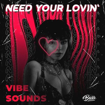 Vibe Sounds's cover