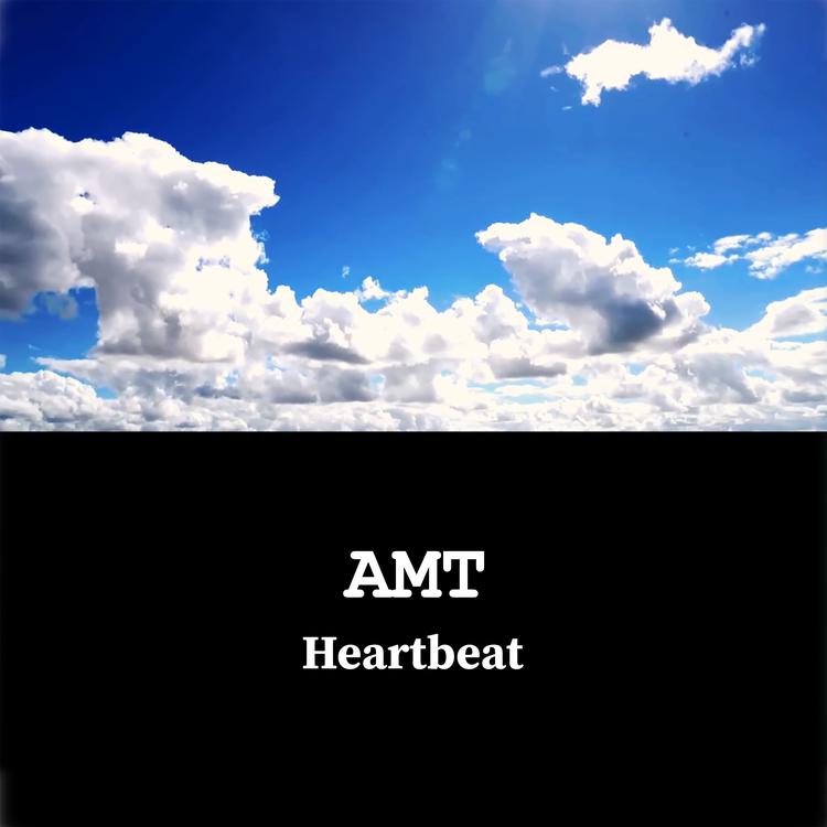 AMT's avatar image