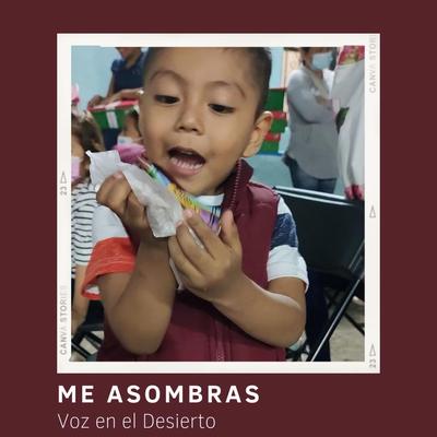 Me Asombras's cover