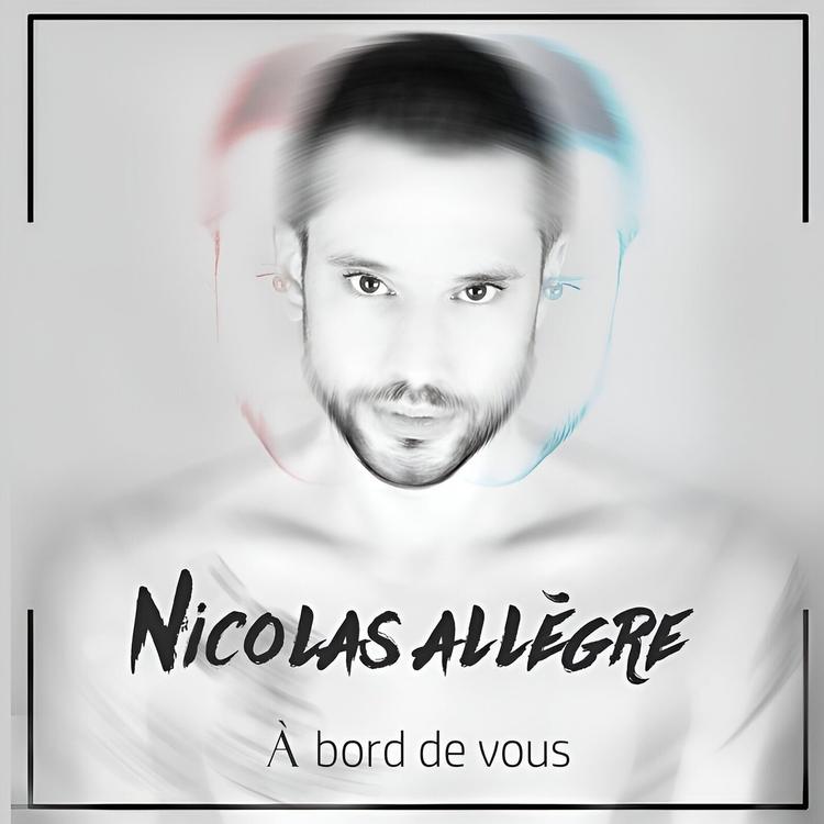 Nicolas Allegre's avatar image