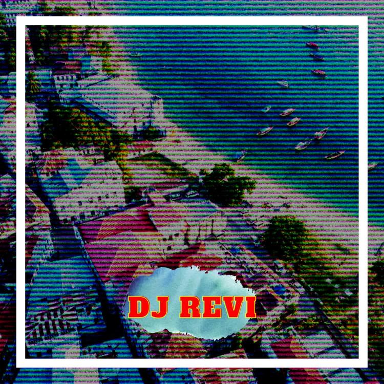 DJ Revi's avatar image