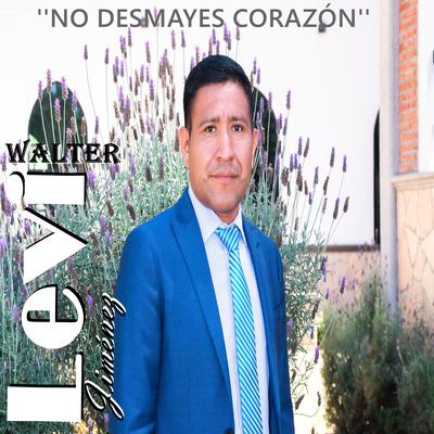 No Desmayes Corazón's cover