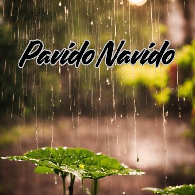 Pavido Navido's cover