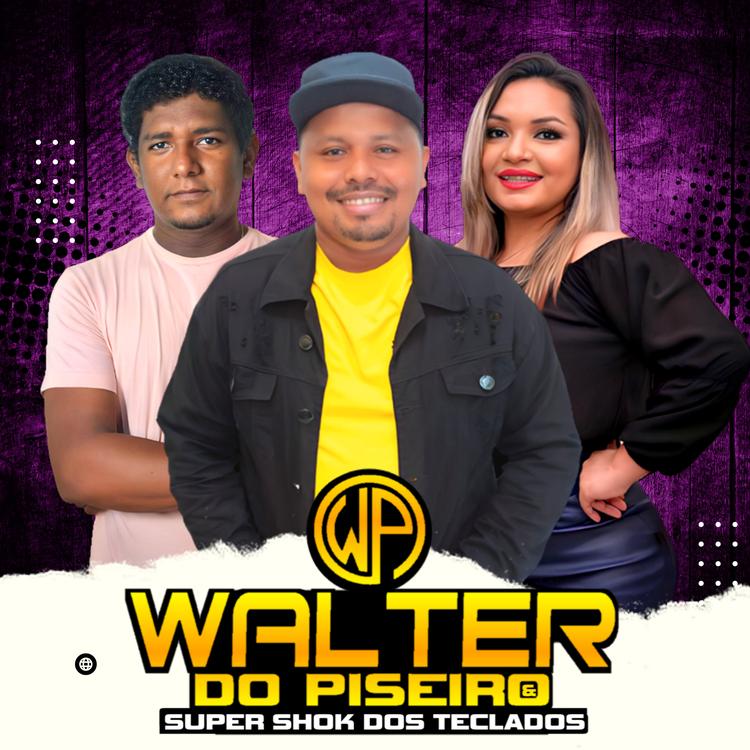 Walter do Piseiro - Super Shok dos Teclados's avatar image