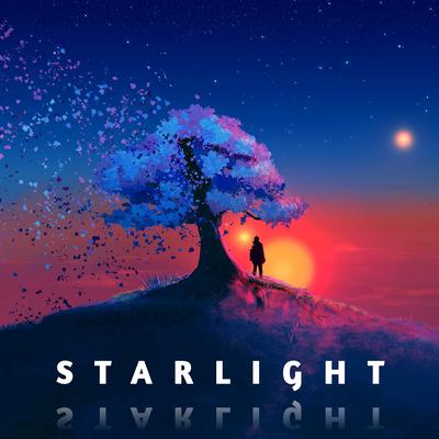 Starlight By Vidhin Boda's cover