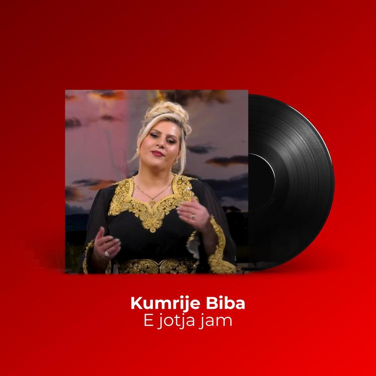 Kumrije Biba's avatar image