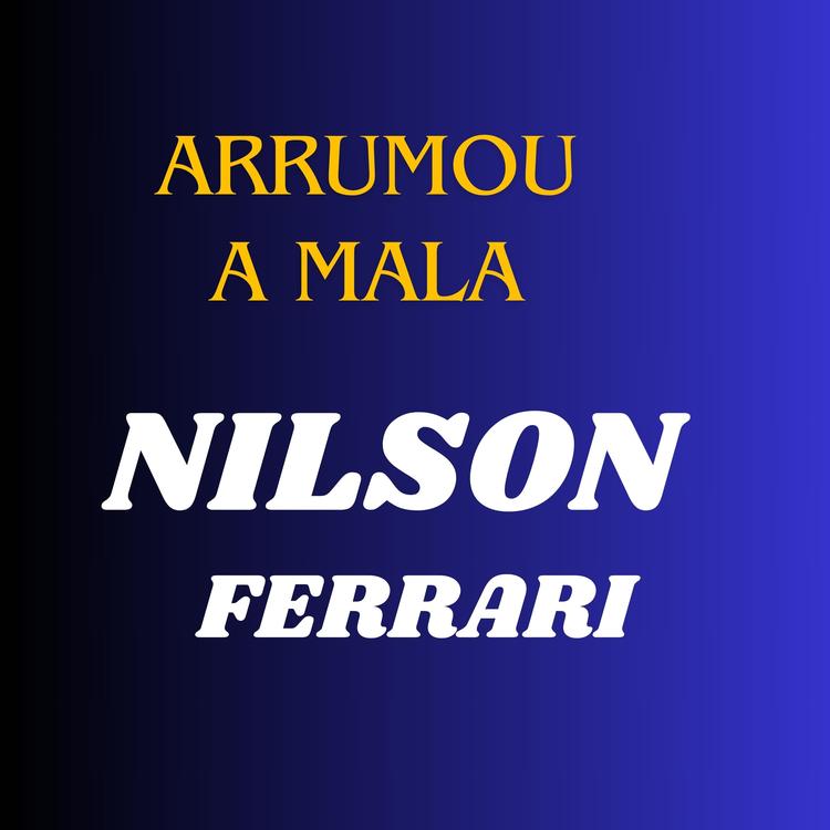 Nilson Ferrari's avatar image
