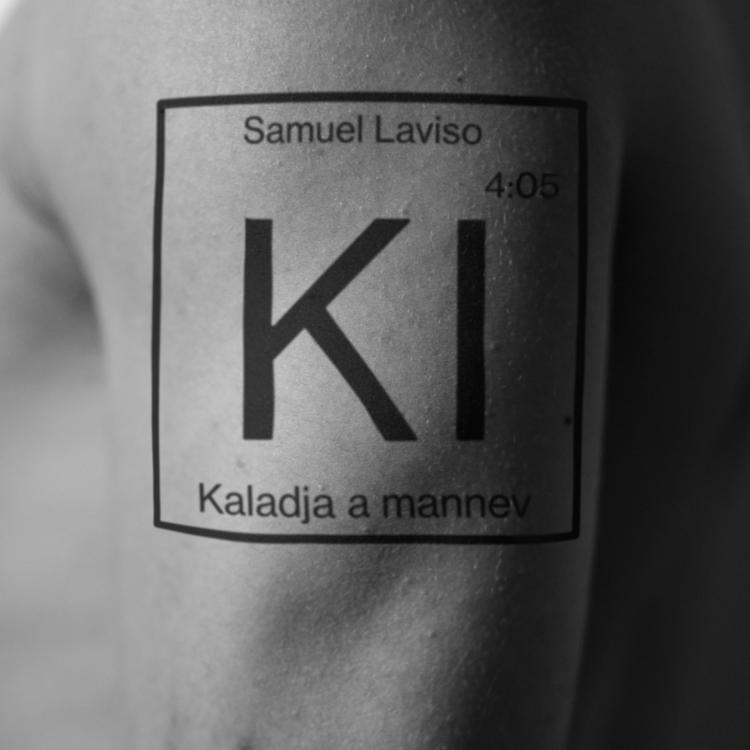 Samuel Laviso's avatar image