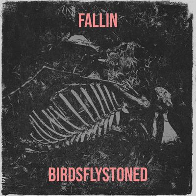 BirdsFlyStoned's cover
