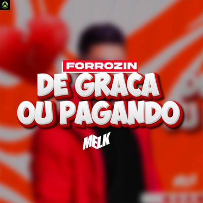 Forrózin de Graça ou Pagando By djmelk, Rave Produtora's cover