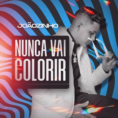 Nunca Vai Colorir By Joãozinho's cover