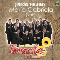 BANDA LOS TAMAZULAS DE GUASAVE's avatar cover